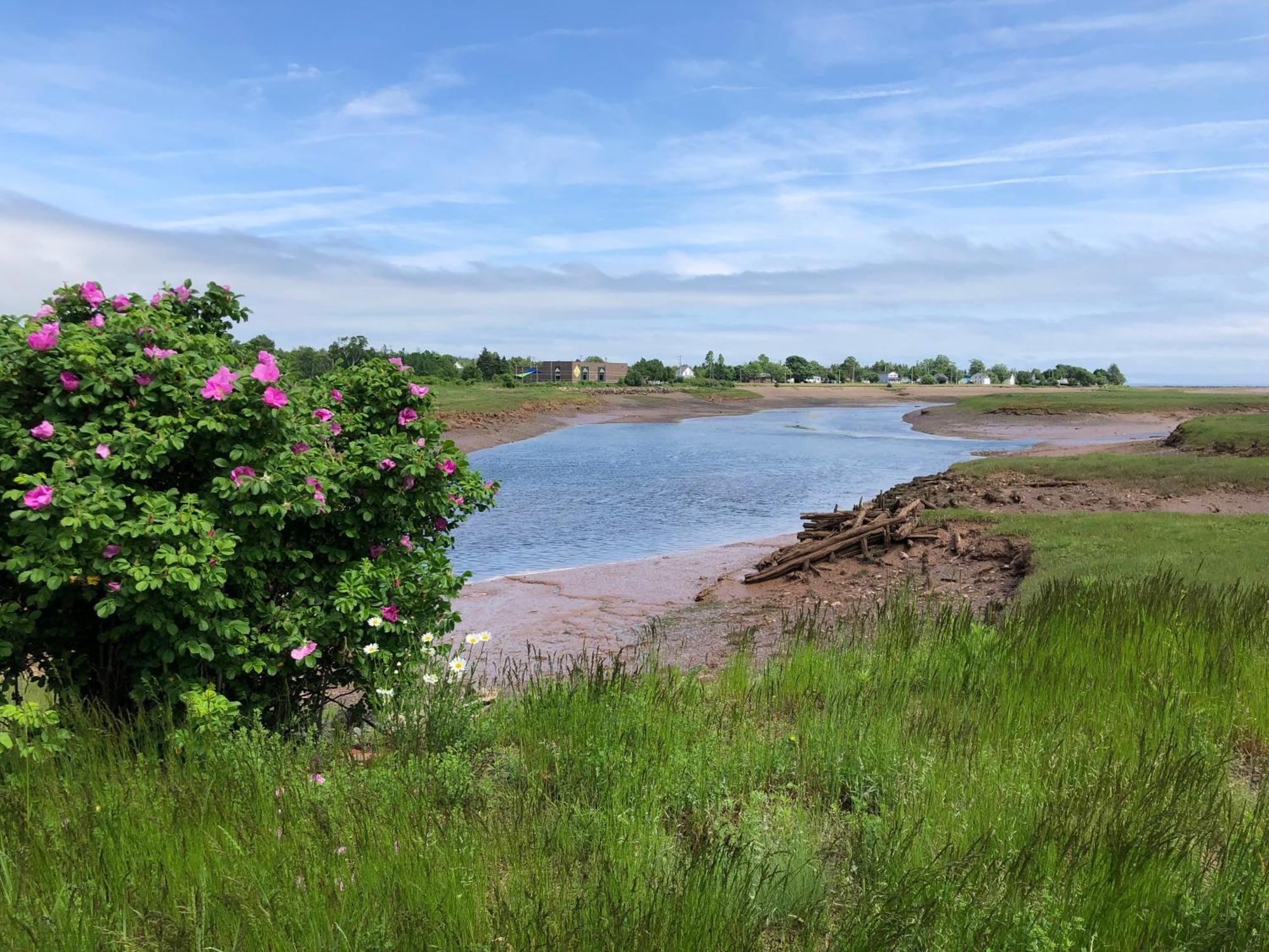 Pleasant Street Inn Parrsboro Zewnętrze zdjęcie