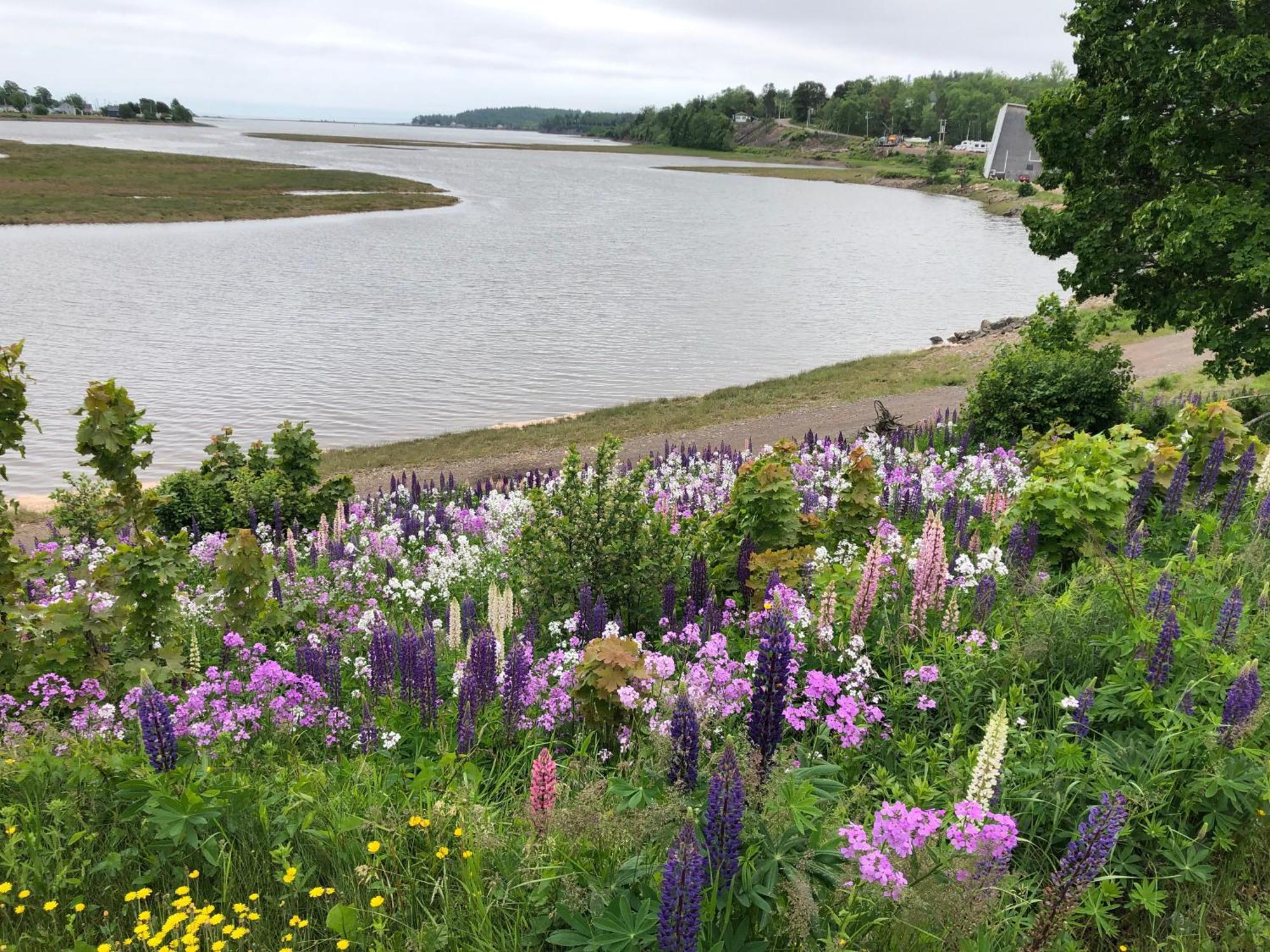 Pleasant Street Inn Parrsboro Zewnętrze zdjęcie